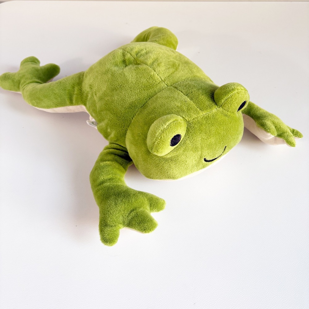 KiwiCo Kids Educational Frog Dissection STEM Science Anatomy Plush Toy Green OS